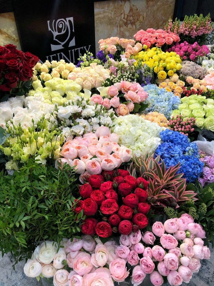 flowers_postss's tweet photo. https://t.co/Vd7durZtQA