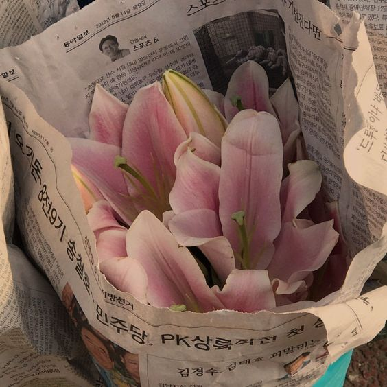 etherealdior's tweet photo. the month of pink https://t.co/I8wg04Ca26
