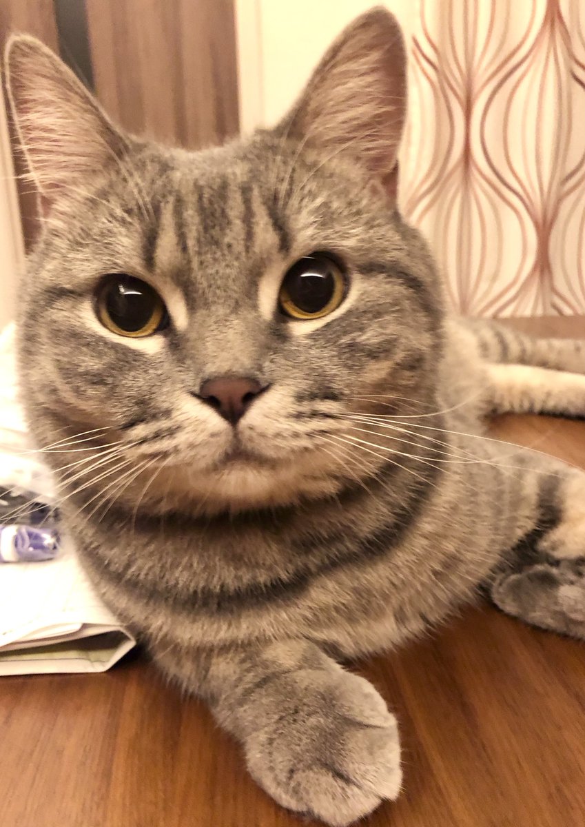 captain_nemo_52's tweet photo. 職場変わってなかなかTwitter見れず💦

おひさです https://t.co/0eUIuIEwXF