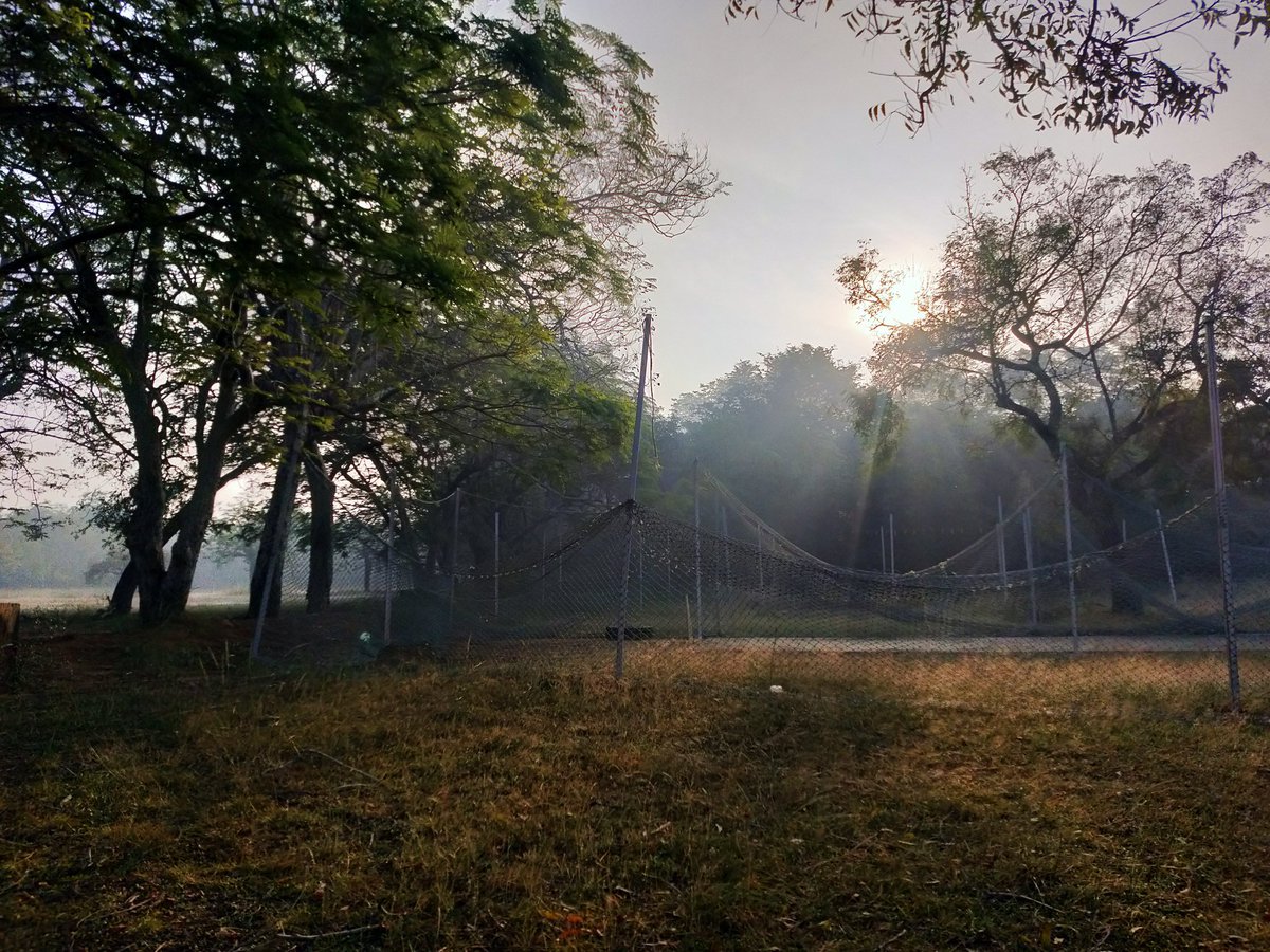 dinu_arts's tweet photo. Morning Practice is always pleasant at Mcc!

#mobilephotography #mcc #Practice #realme #Nets #Cricket @dinu_arts @dinu_dinesh12 https://t.co/GjVrpJz4NH
