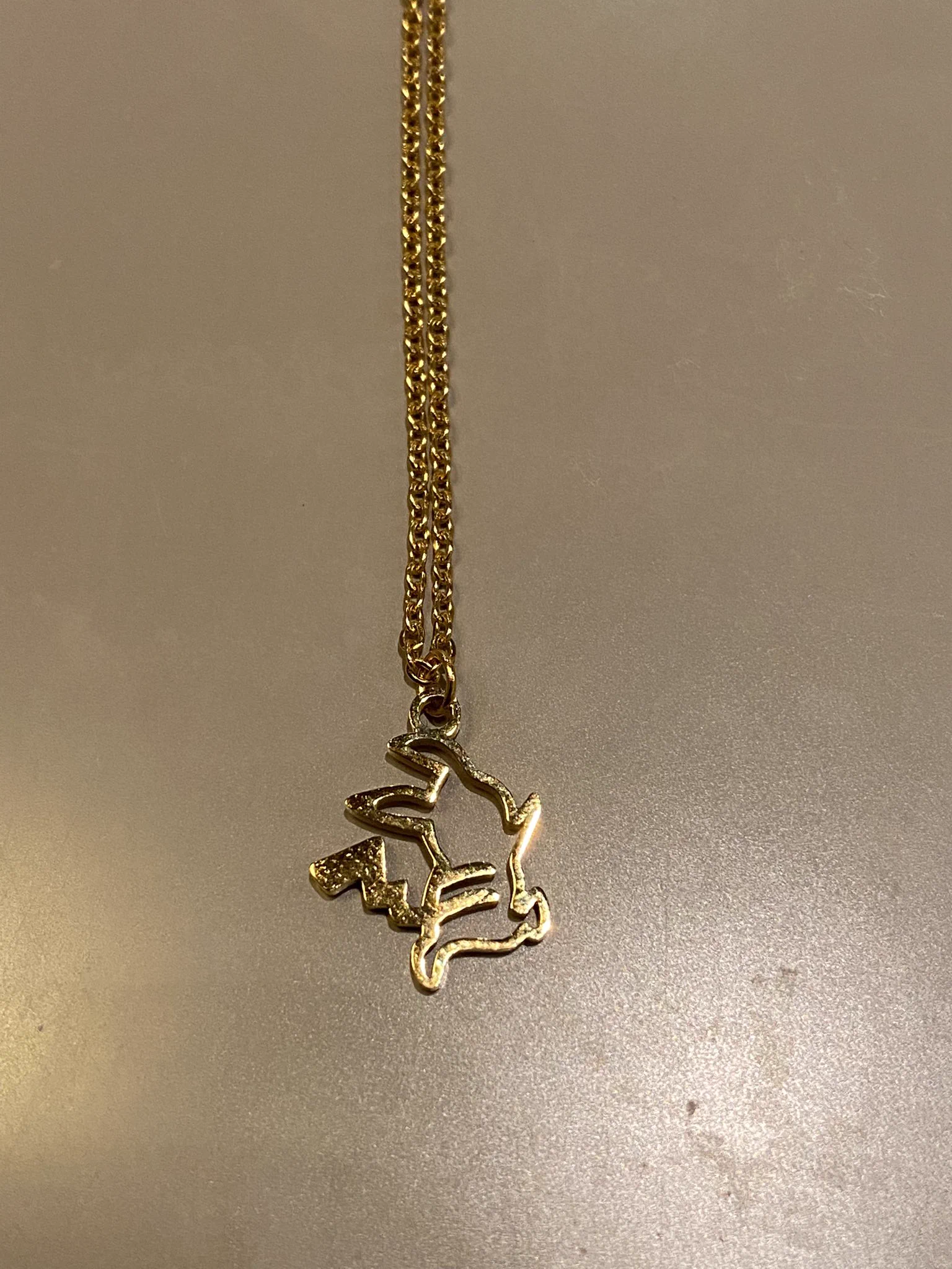 ピカチュウの日にピカチュウのネックレス届いてた！
これでかわいい刺ししよ笑
#ピカチュウの日  