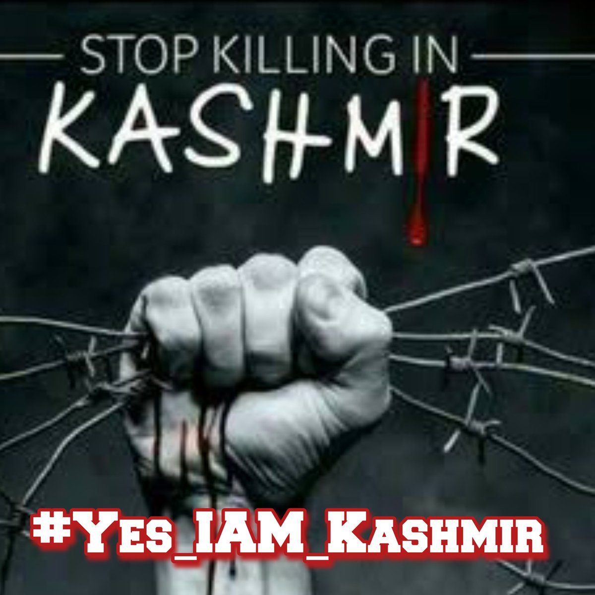 “It is the voice of every Kashmiri:
We exist
Our voices may be small 
But we exist
Our ary might not be political
But we exist
Our opinion might be ignores 
But we exist.”
 
Our hope Kashmir will free one day insha'Allah ❤️

#Yes_IAM_Kashmir