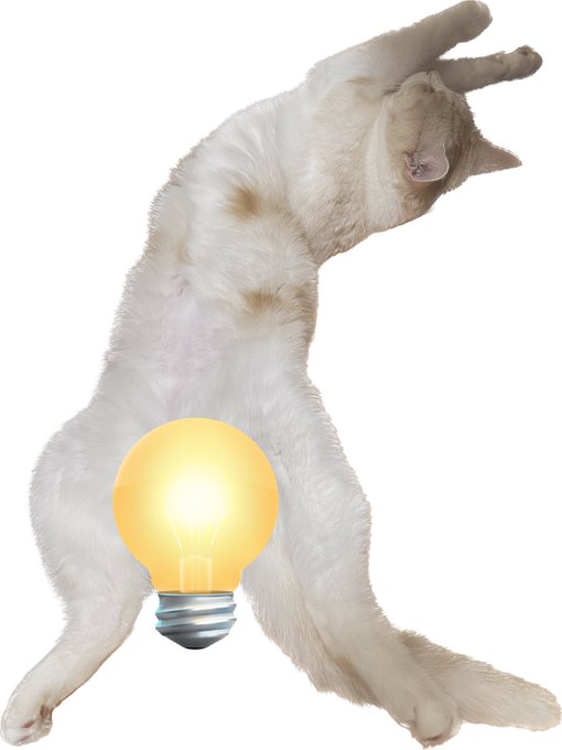 腹痛い人間なのでトイレから切り抜いた猫をお送りする 