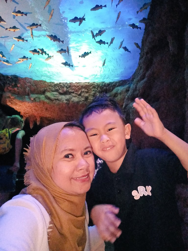 BisdakV's tweet photo. Our curious young nature lover in awe of the beauty of the ocean.

Visiting the National Aquarium which is home to 46,000 animals &amp; the largest in the Middle East.

#life #nature #sundayvibes #aquaticlife #AbuDhabi #UAE #marinelife #sharks #stringrays #adventure #learning https://t.co/v1z0sNyces