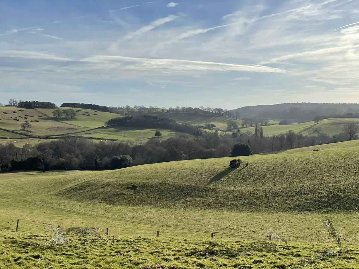 Simon Greig tweet media