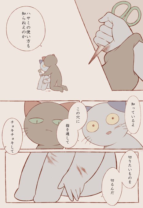 既知 #ねこのティーチくん 