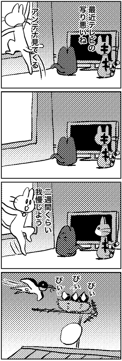 #いわねこ
179 
