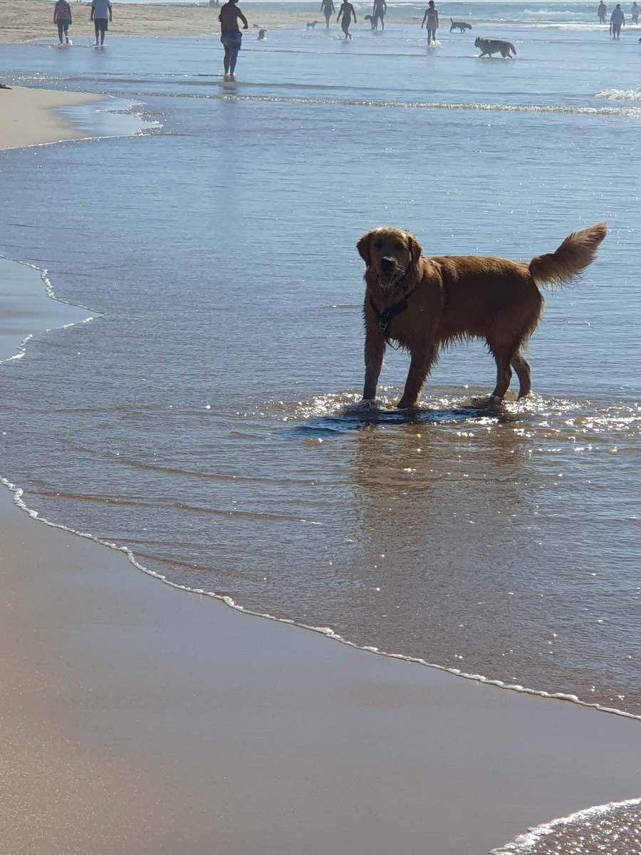 MoreAverage48 tweet media