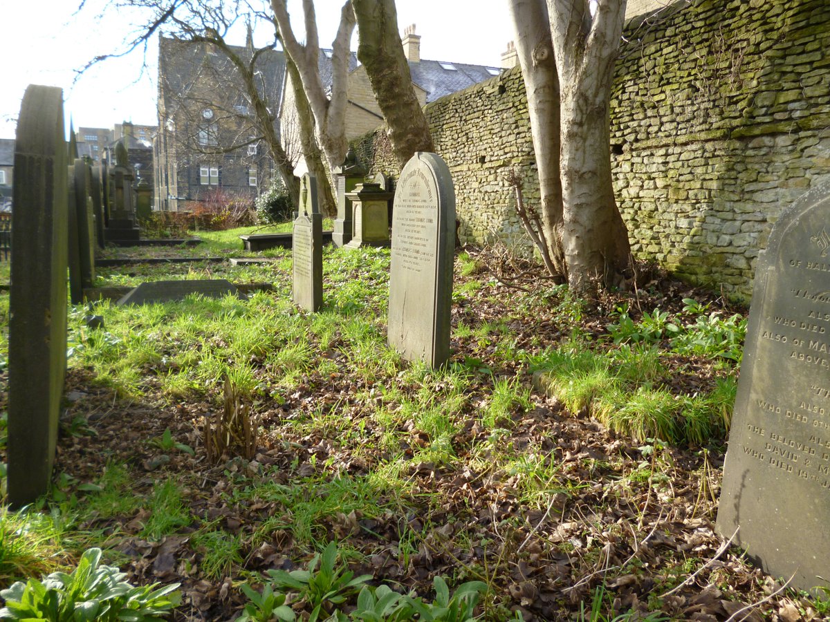 Dr Naomi on Twitter "RT ListerLaneCem Some pictures from this