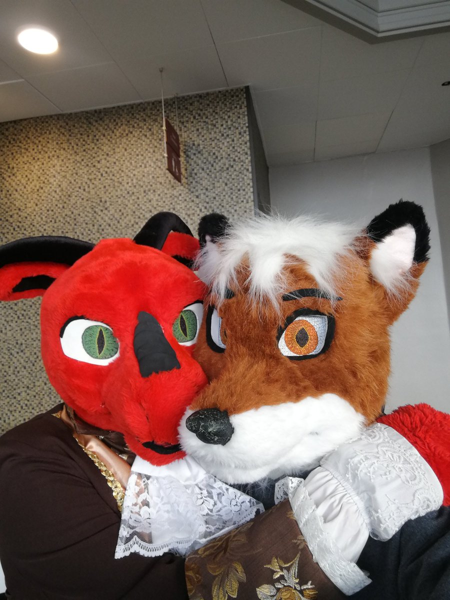 ArcoTheFox's tweet photo. Missed #FursuitFriday so have #SuitingSunday instead. https://t.co/RrmjQFrOuA