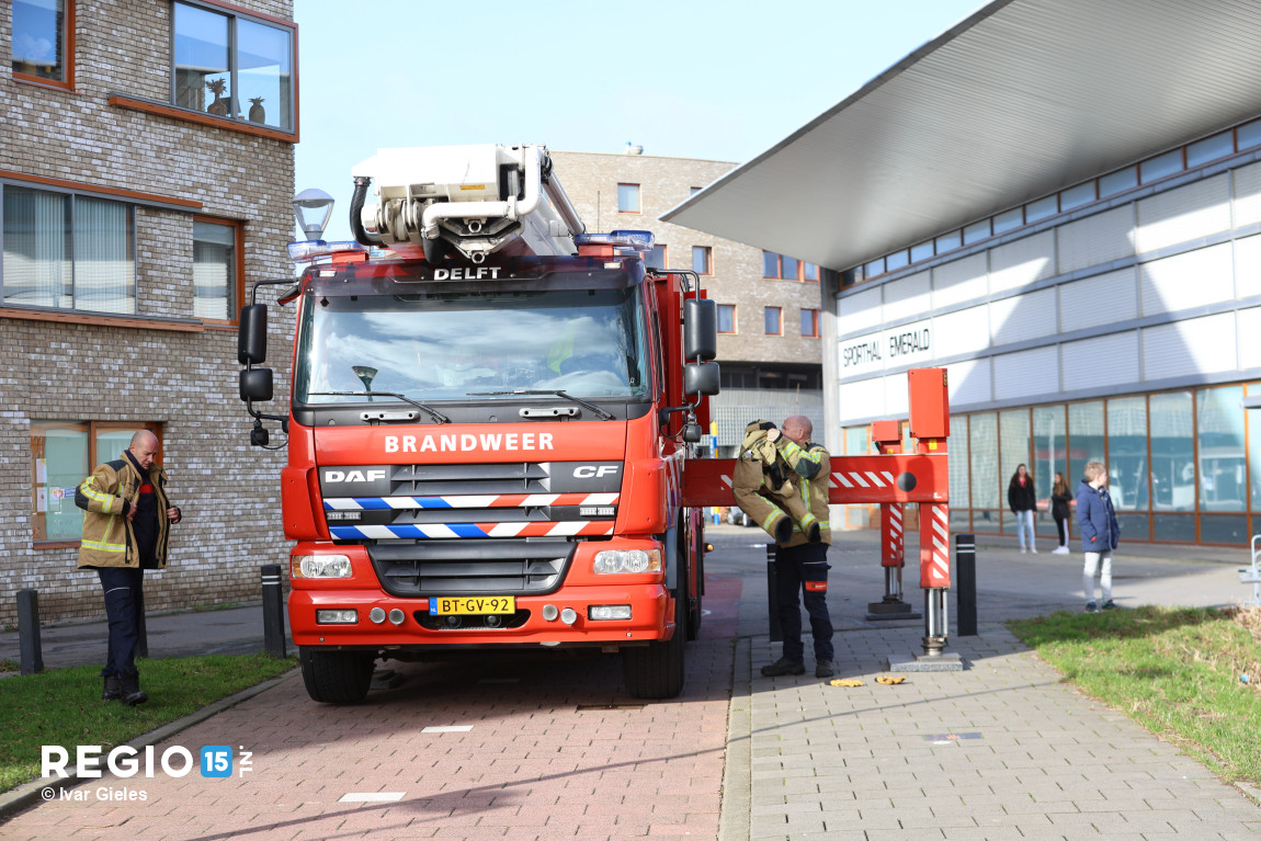 regio15's tweet image. Brandweerinzet tbv kat in boom op het #Stuiverpad in #Delfgauw. Zoals zo vaak was het einde van het liedje dat de kat zelf uit de boom is gekomen en hard is weggerend.