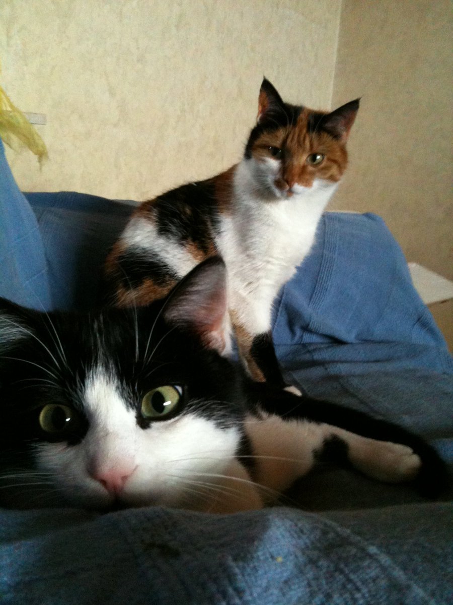 AlineSchaaf's tweet photo. what they looking at ? 
i need some nft advise 
someone can help ? https://t.co/dtOhLsagAq