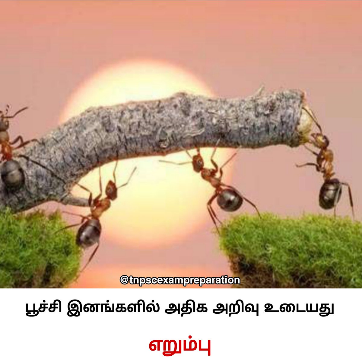 Tnpsc Exam preparation tweet media