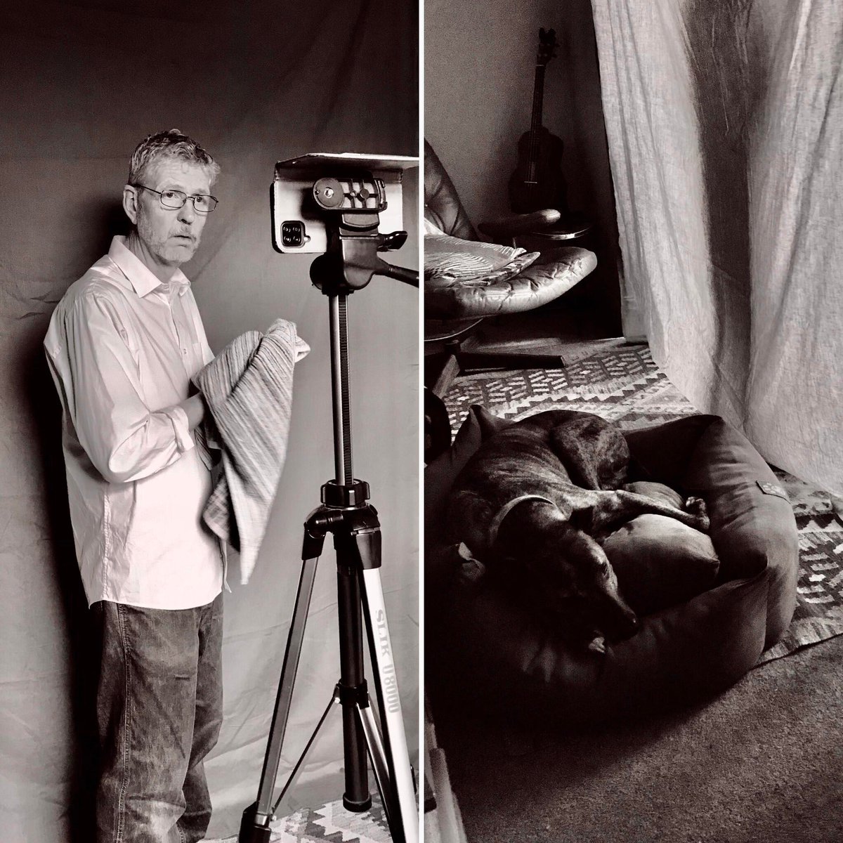 Another day, another self-tape. If only they knew what was behind the curtain! #SallyDog  #Allthefurniture