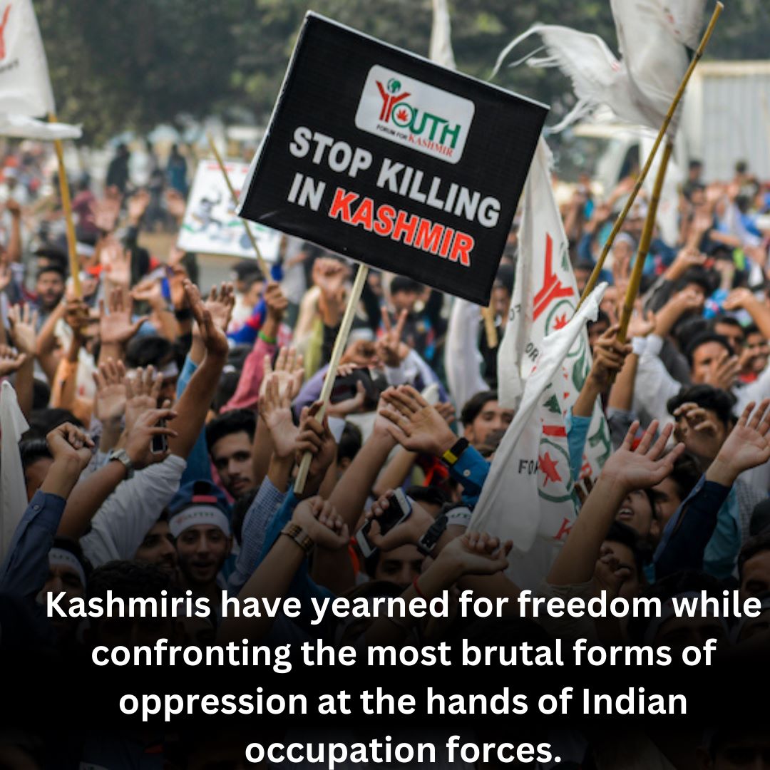 saiber140820's tweet photo. #KashmirSolidarityDay
پاکستان ہر مشکل وقت میں اپنے کشمیری بھائیوں کے ساتھ کھڑا ہے اور کھڑا رہے گا
#KashmiriGirlChild
#indianOppression
#stateterrorism #indiaterroriststate 
 #UnitedNations #HumanRights #kashmirbleeds
#کشمیر_بنےگا_پاکستان https://t.co/JiXpO9PHmh