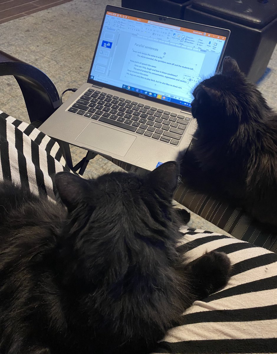 MellyLifeLiver's tweet photo. Editing truism: Three pairs of eyes are better than one. #CopyEditing #LessonPrep #WIP #CatsOfTwitter https://t.co/BHXIThb8hL