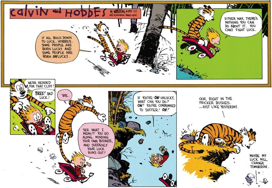 izebel_eth's tweet photo. i think if calvin had been in crypto he would have crushed cycles https://t.co/gIxna7Fgfa