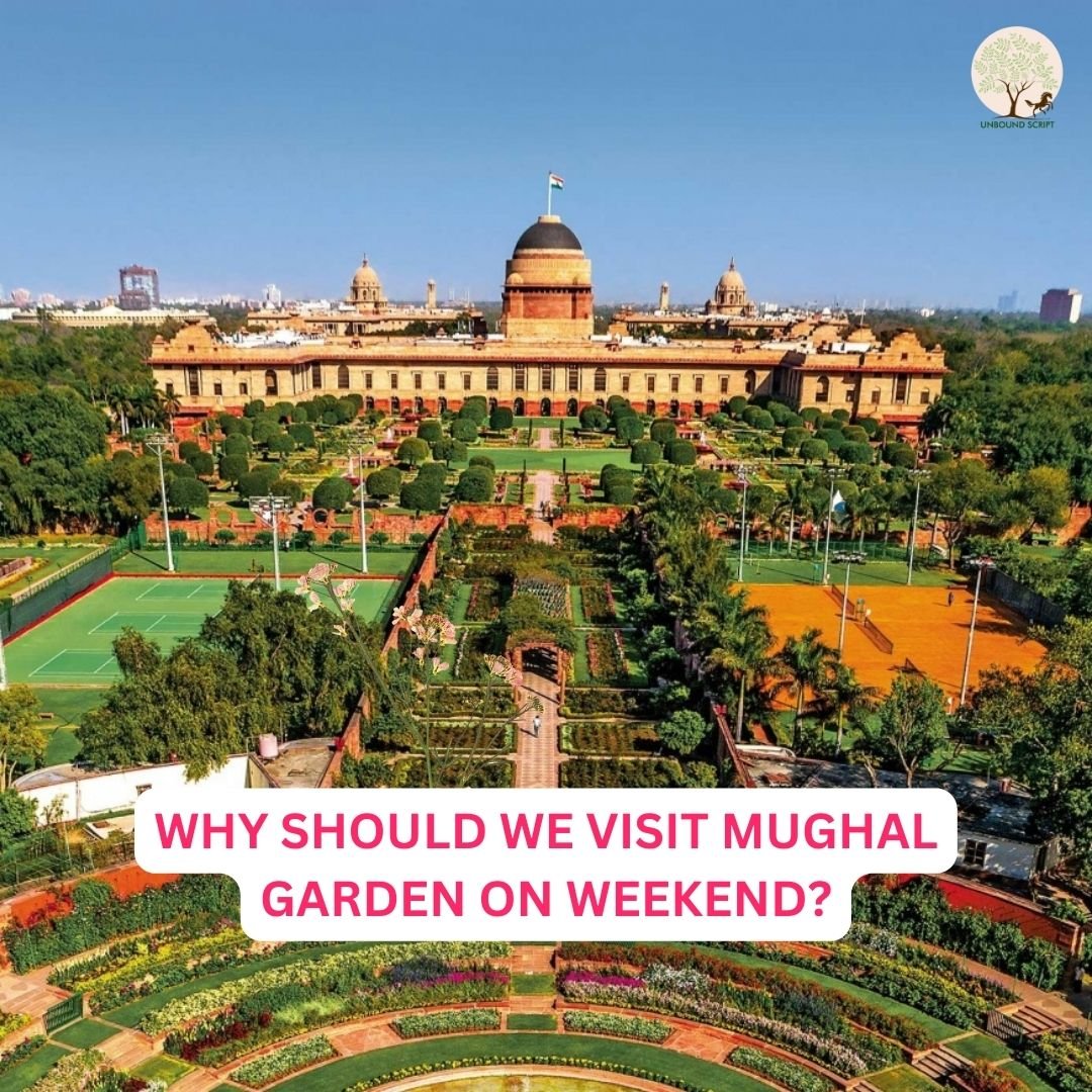 UnboundScript's tweet image. Mughal gardens attract several tourists from around the world and are known for their lush green plantations, attractive wildflowers and perfectly manicured grass.
#india #mughalarchitecture #delhi #photography #art #heritage #incredibleindia #instagram #weareUnboundScript