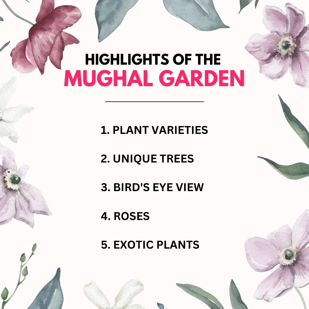 UnboundScript's tweet image. Mughal gardens attract several tourists from around the world and are known for their lush green plantations, attractive wildflowers and perfectly manicured grass.
#india #mughalarchitecture #delhi #photography #art #heritage #incredibleindia #instagram #weareUnboundScript