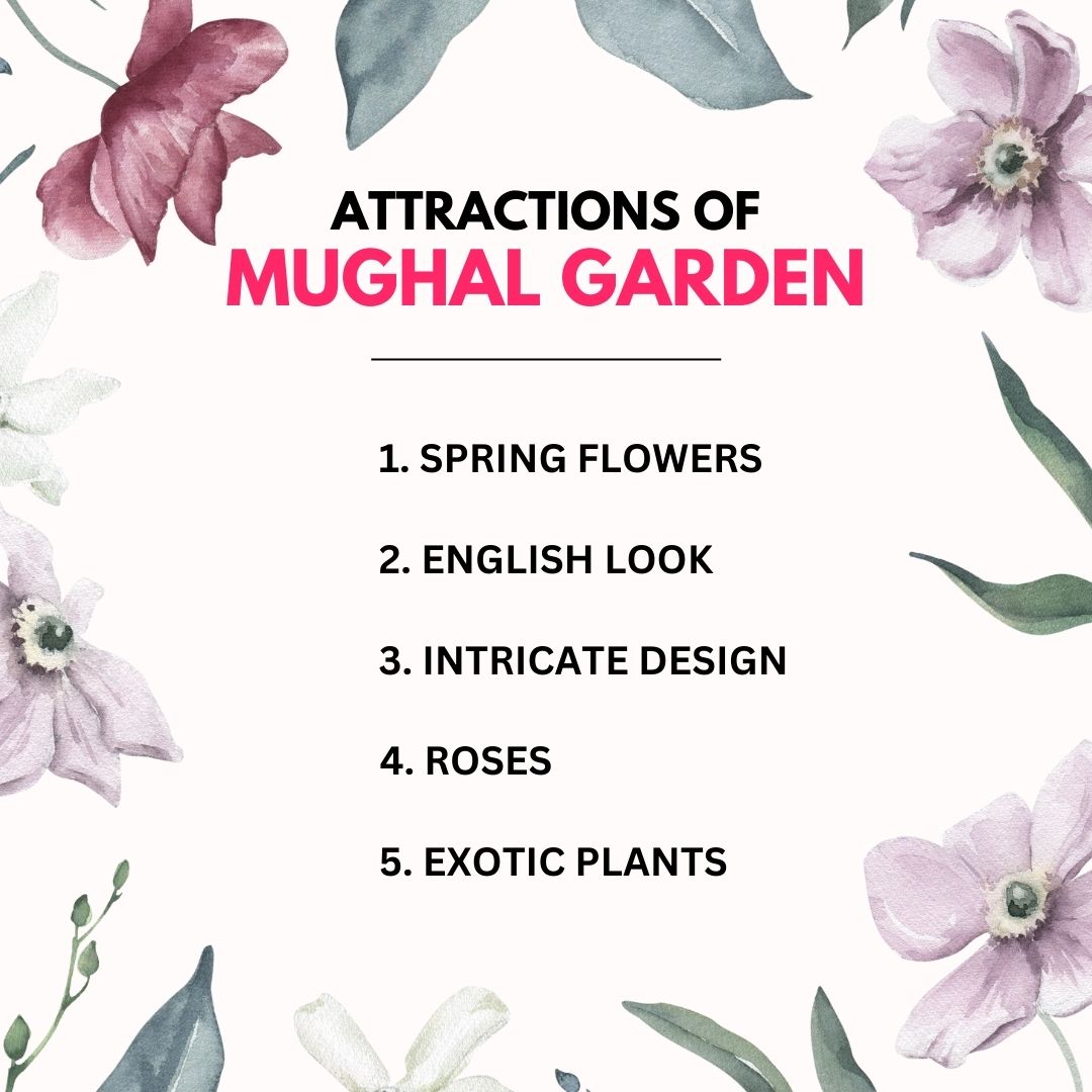 UnboundScript's tweet image. Mughal gardens attract several tourists from around the world and are known for their lush green plantations, attractive wildflowers and perfectly manicured grass.
#india #mughalarchitecture #delhi #photography #art #heritage #incredibleindia #instagram #weareUnboundScript