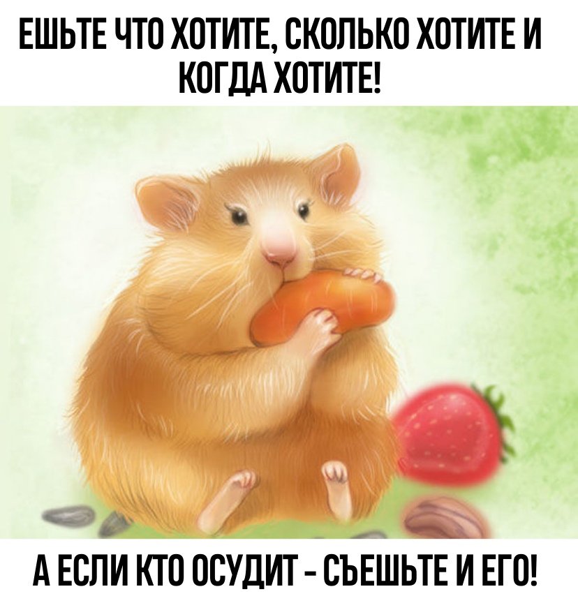 FlegerCook's tweet image. 