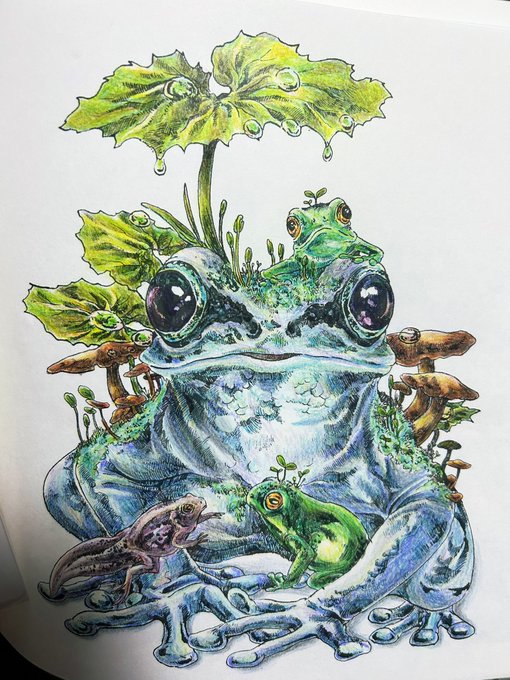2022新作 Pre Autumn マツダケン 原画 カエル アート