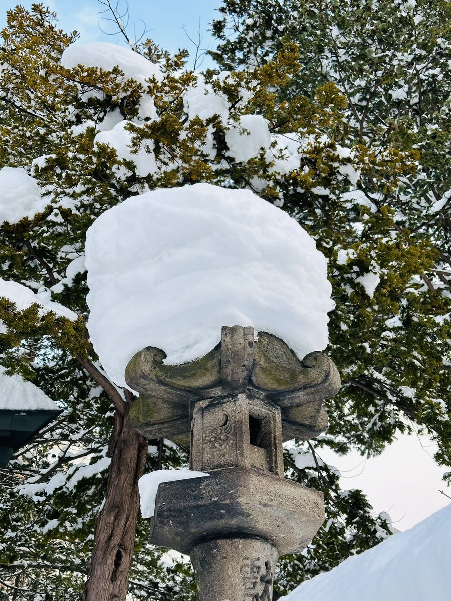 utojinja's tweet photo. 今日も朝から雪☃️が降り止まぬ状態でしたが、昼過ぎから徐々に天候も回復してきました☺️
神社⛩の雪帽子風景をご覧下さいませ🧢
#雪帽子 #埋まる #積雪 #寒波 #青森市 #風景画 https://t.co/2H1NwaZiBm