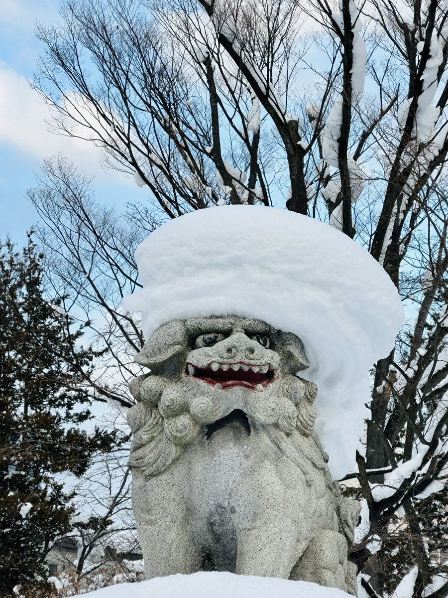 utojinja's tweet photo. 今日も朝から雪☃️が降り止まぬ状態でしたが、昼過ぎから徐々に天候も回復してきました☺️
神社⛩の雪帽子風景をご覧下さいませ🧢
#雪帽子 #埋まる #積雪 #寒波 #青森市 #風景画 https://t.co/2H1NwaZiBm
