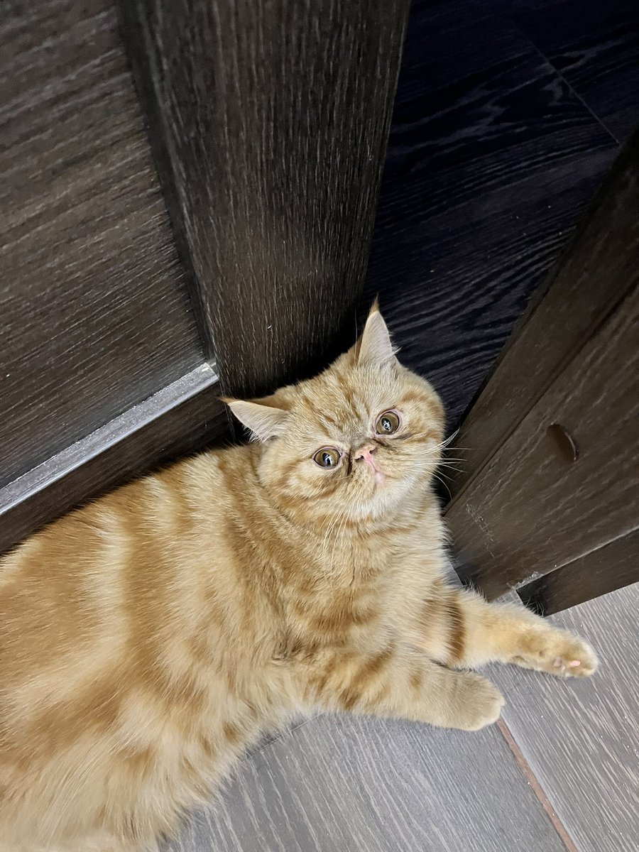 Marinikaly's tweet photo. @RuslanUsachev Булка на минималка 🥐 https://t.co/2r3bUnIM26
