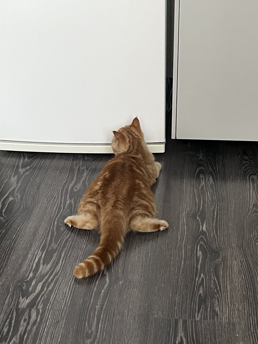 Marinikaly's tweet photo. @RuslanUsachev Булка на минималка 🥐 https://t.co/2r3bUnIM26