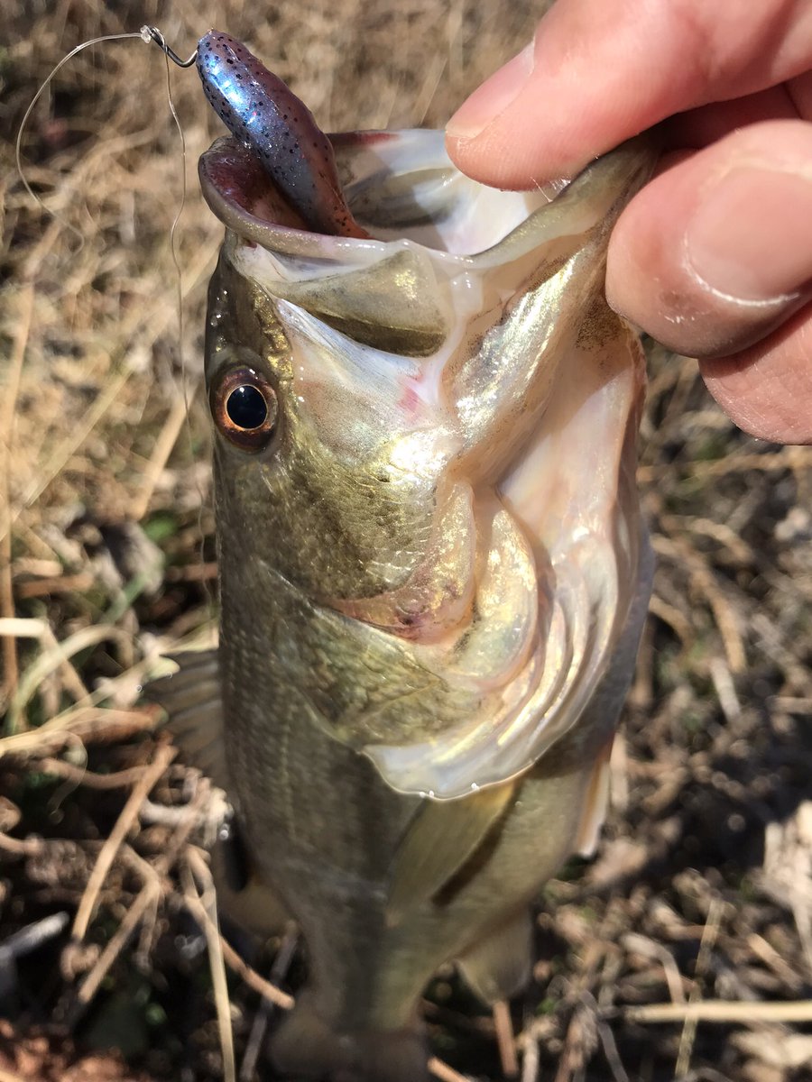 Tomomi740's tweet photo. 明けましておめでとうございバス🎣パドチューで🤙 https://t.co/vGqGwMfmgm