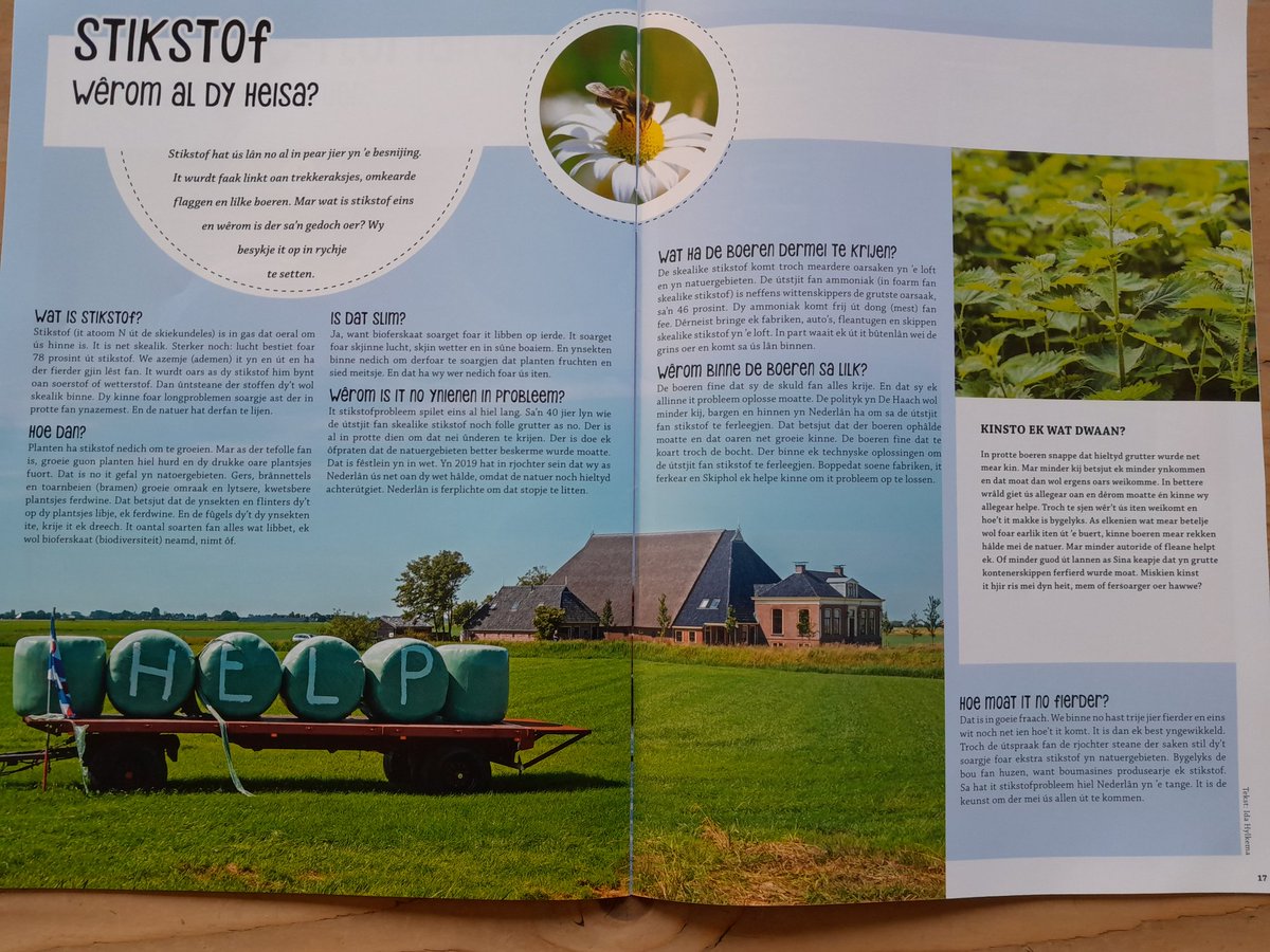 Uitdagende klus: leg het stikstofprobleem uit aan (Friese) jongeren in 600 woorden.