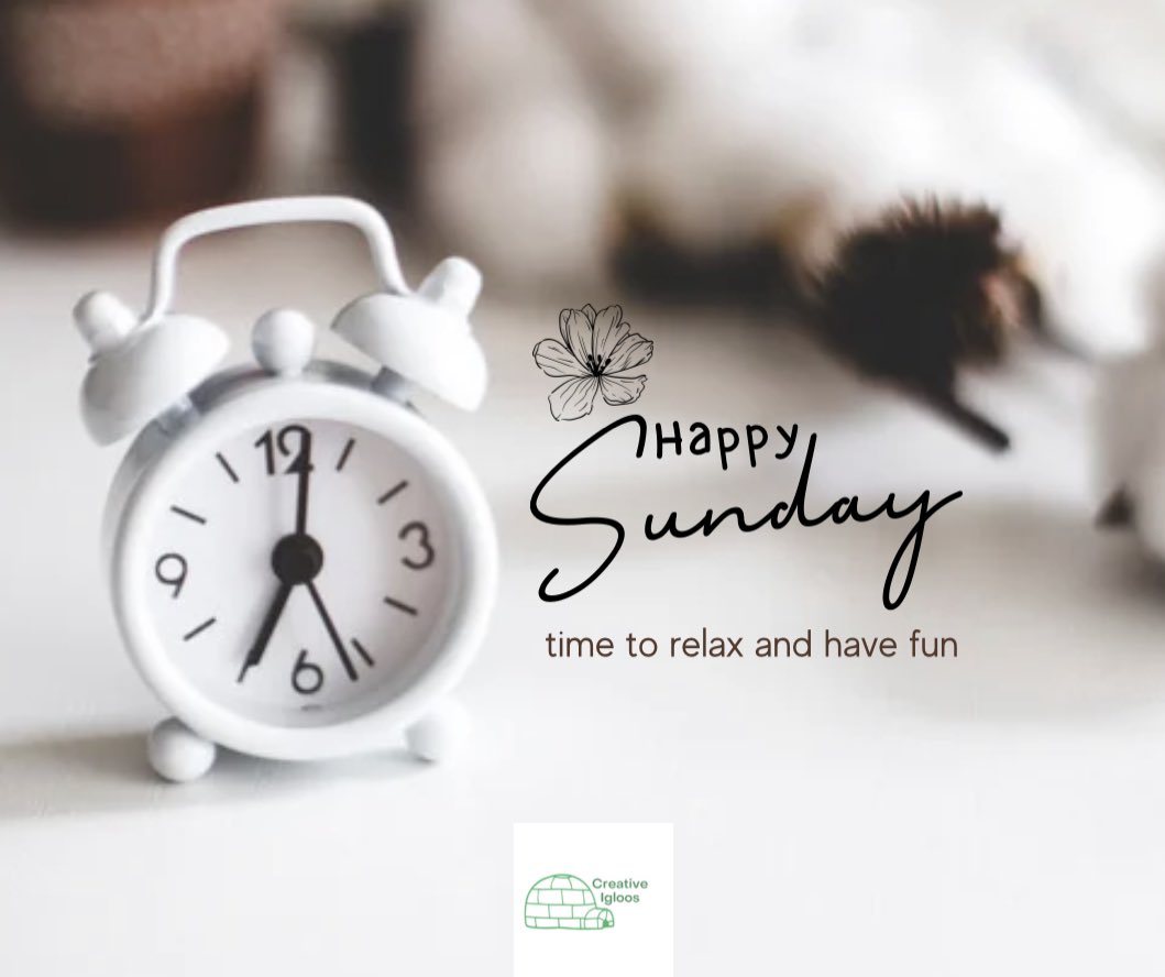 Creative_Igloos's tweet photo. Happy Sunday from Creative Igloos!🤍 https://t.co/XBegJt7Wls