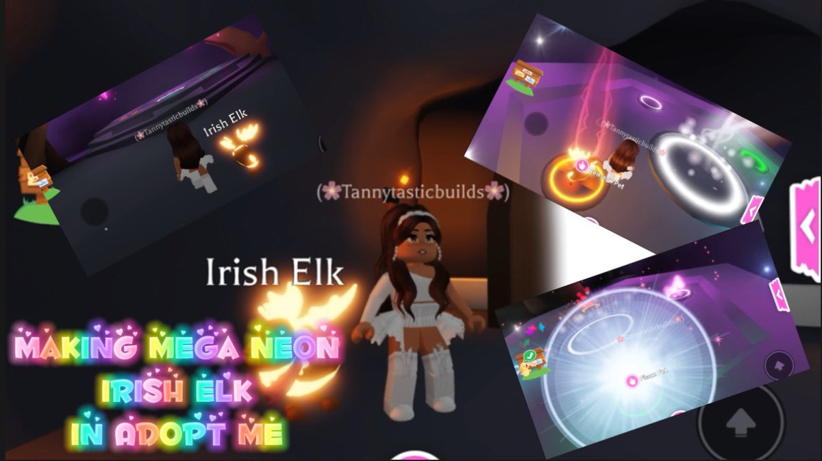 TTBuilds's tweet photo. ✨💖 Making Mega Neon Irish Elk in Adopt Me 💖✨ check out my vid on YouTube @TannyTasticBuilds  https://t.co/uRA15nJGiI  or on TikTok @tannytasticbuilds https://t.co/xStj4PMAmU