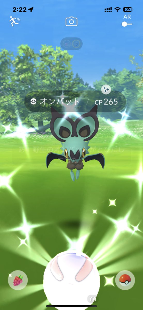 mdx_ta's tweet photo. ピカッて、ピカッて、ちっちゃい！ https://t.co/WhsYntp2a4