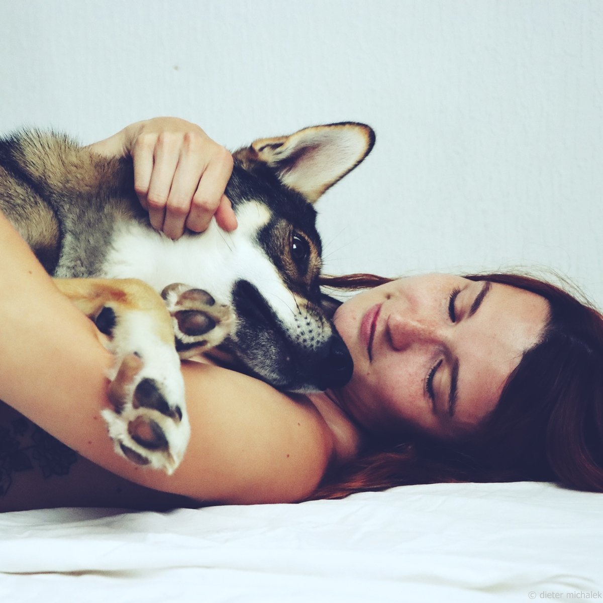 dietermichalek's tweet photo. #dogsarefamily
#DogsofTwittter #doglovefood #dog #dogphotography #photooftheday #dogs #chien #allkindsof_pets #perro #exellent_dogs #doglover #dogsarelove #dogoftheday #CAOS #dogstagram #bavaria #germany #moosburg #perrsofinstagram #husky #huskylove https://t.co/YoVQd8sNtF
