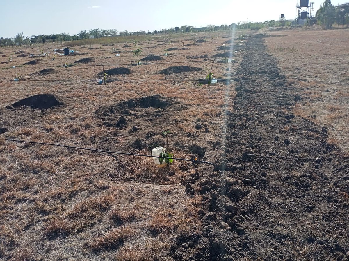 IrriHub's tweet photo. If you're in a super hot region and you feel like it has never gotten to that point before, please share a photo and let's see how far climate change has gone. 

We want to see something.. https://t.co/QbW2Tjp4Nd