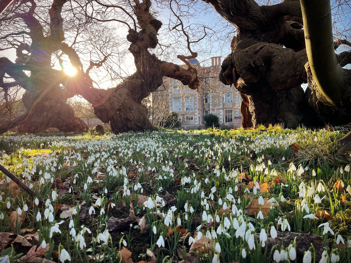Doddington Hall tweet media