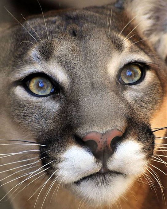 🌍Life❤Melody🌞 tweet media