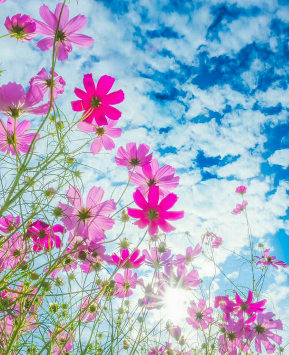 من يعاتبک دائما ً، هو الذي يريد أن يحتفظ بك للأبد 😴🍃

'