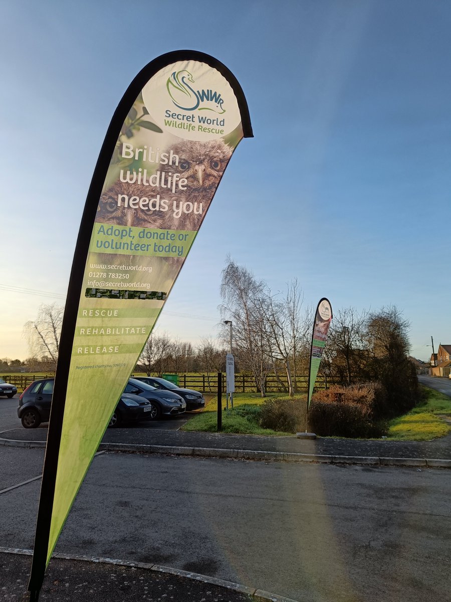 And we're off- Day 2 of our 4th annual 'Caring for British Wildlife' Conference begins with Maggie Brown talking about bat rescue and rehab in the UK. Today we're focusing on wildlife rehabilitation and release and discussing how we can improve it for the future... #wildlife