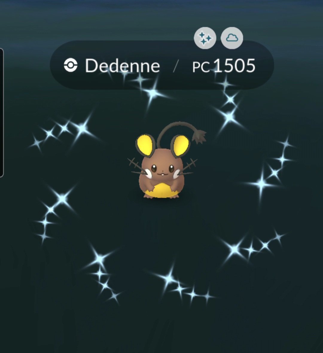 I like when a community day begins with a random shiny ! Welcome little choco-mouse 🤎🐭🤎 #PokemonGO #PokemonGOCommunityDay #PokemonGOshiny