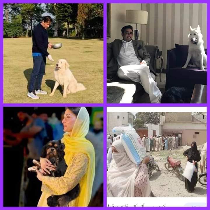 qbhutta_022's tweet image. عجب رسم ہے چارہ گروں کی محفل میں
 لگا کر زخم نمک سے مساج کرتے ہیں 
 غریبِ شہر ترستا ہے اک نوالے کو 
امیرِ شہر کے کتے بھی راج کرتے ہیں

#ChangeSystem
#نظام_بدلو