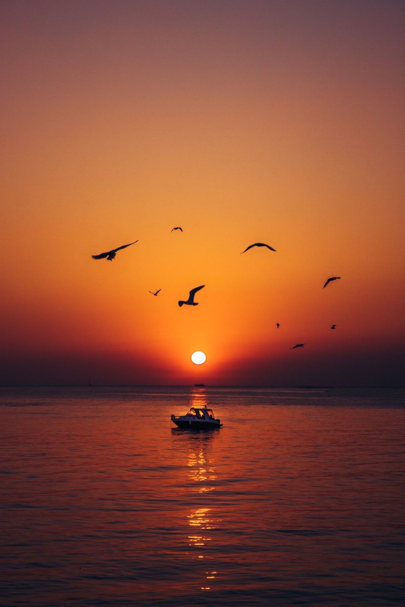 GM artists &amp; collectors ☀️

Enjoy beautiful sunrises, even if waking up early is a challenge. Check out my new collection on Tezos, specially made for you to have a great time 📸