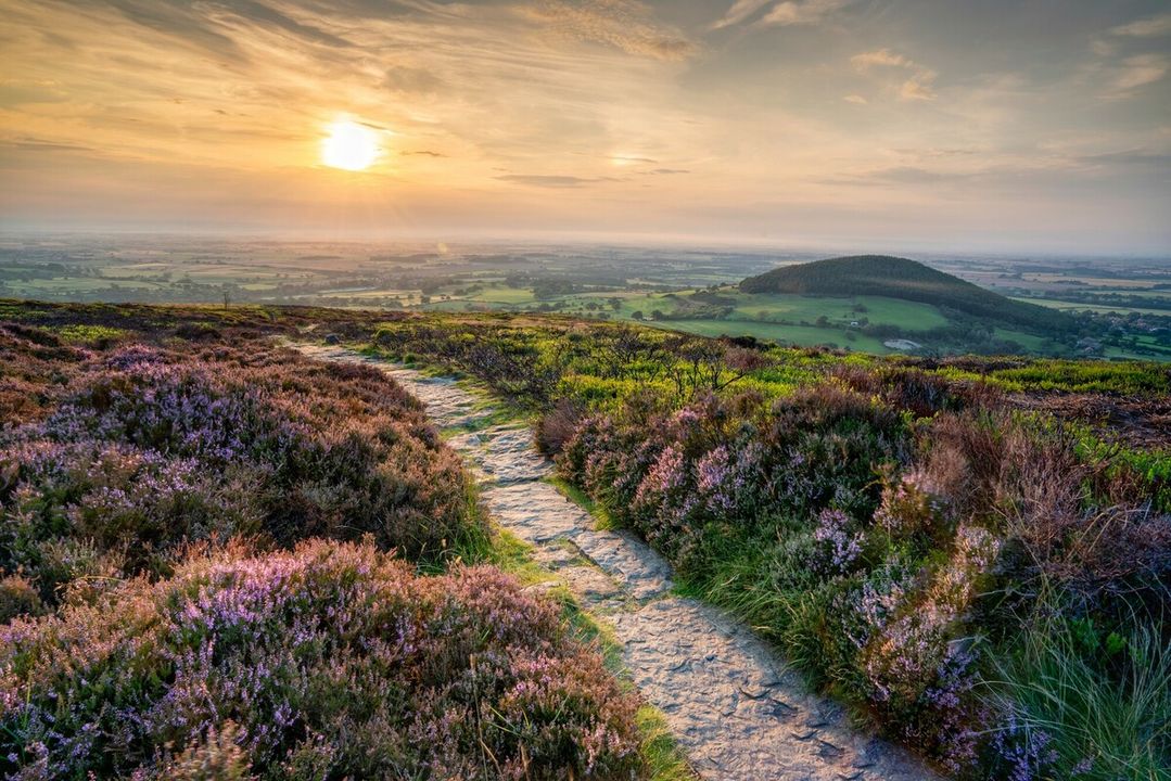 We are looking for two new Secretary of State members. Come and join us at this exciting time to help shape the direction of our National Park. Applications close 20 February 👇 …blicappointments.cabinetoffice.gov.uk/appointment/se… 📷 Oliver Sherratt