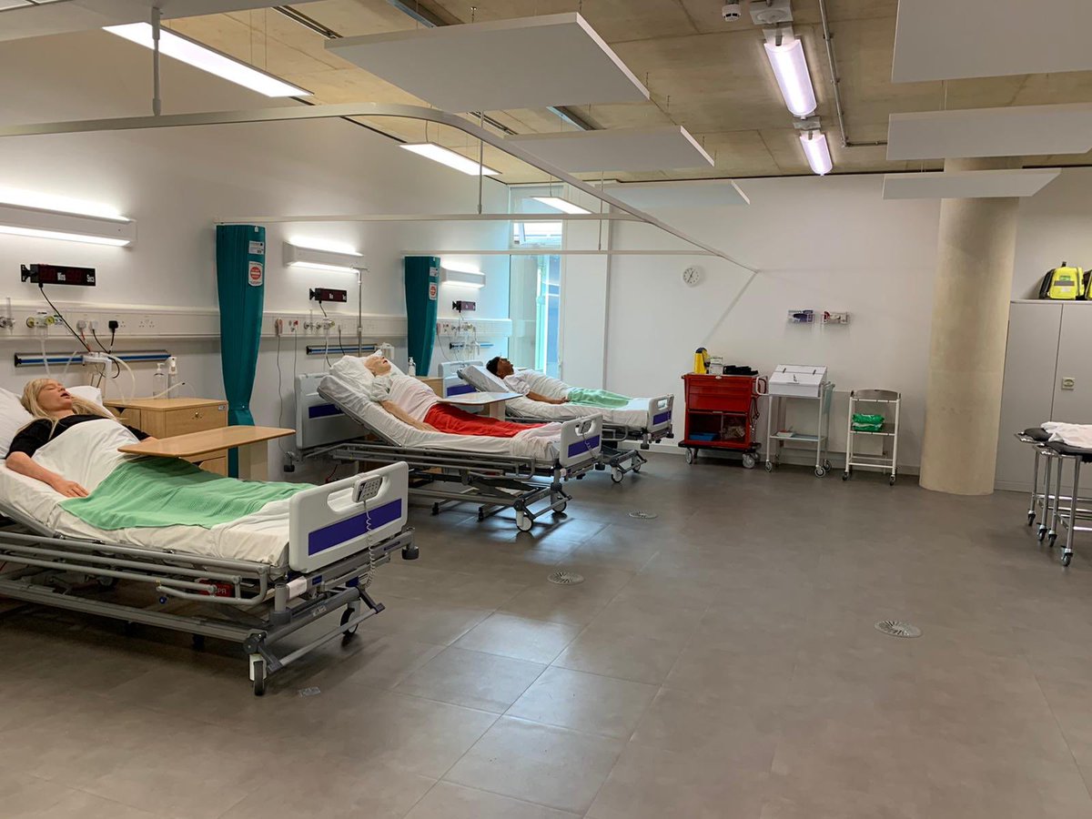 Shev O'Brien tweet media