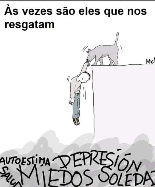 Guedes (@jbguedes24) on Twitter photo 