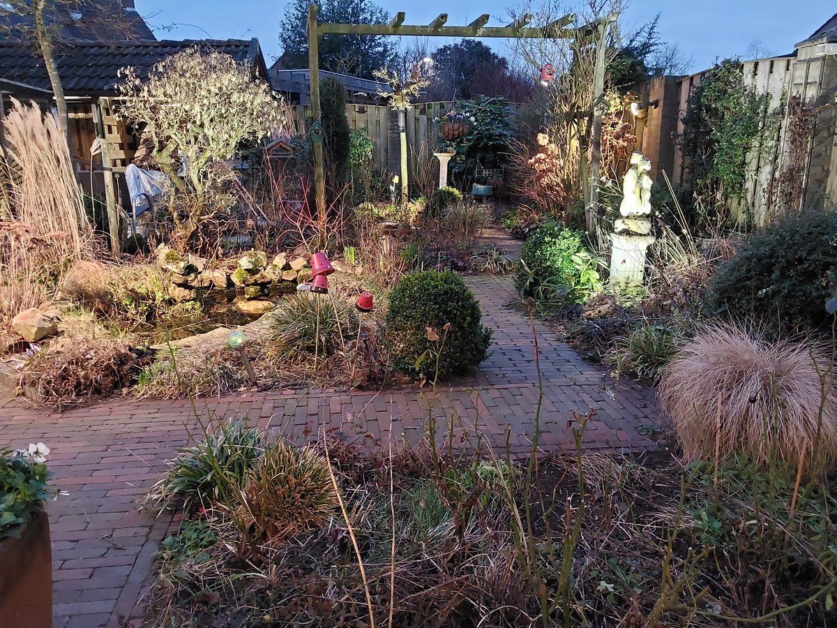 Maar alvast begonnen met wat snoeiwerk.
Nog heel wat te gaan ....