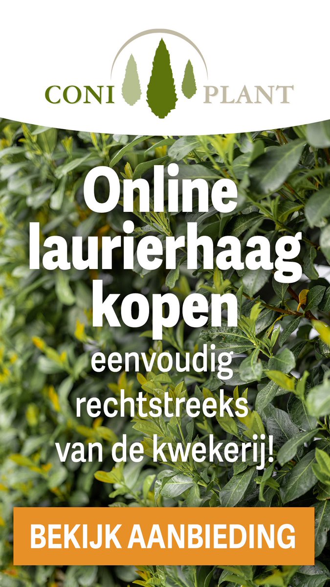 tuindingen's tweet photo. #LAURIERHAAG PLANTEN vers van eigen kwekerij thuisbezorgd in heel Nederland. Maak gebruik van de tijdelijke kortingscode “Tuindingen22" en ontvang 10% korting op de gehele bestelling #haagbeplanting #coniferen #laurier #tuincentrum #kweker #tuinieren 

https://t.co/KjcMooY94m https://t.co/IxYg8CA1md