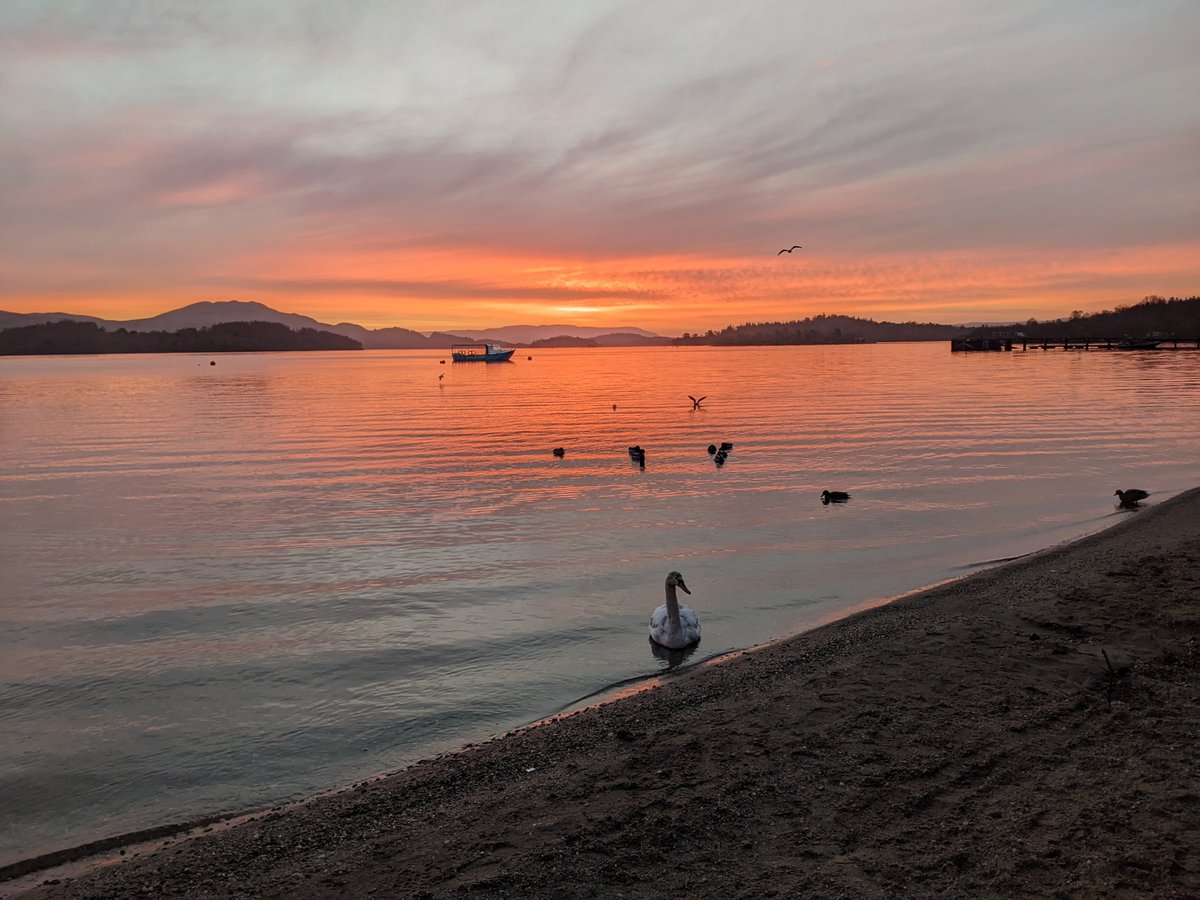 Morning swim 🥶🥶🥶